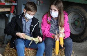 LIČKANJE KORUZE V IVANJEM SELU 07 FOTO LJUBO VUKELIČ